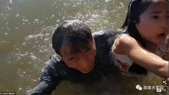 突發！加拿大海獅突然躍起咬住來旅遊的中國小女孩拖下海（視頻）